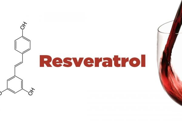 Resveratrol and curcumin suppress immune response 白藜芦醇与姜黄素的免疫抑制