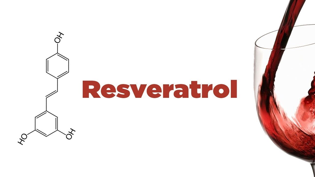 Resveratrol and curcumin suppress immune response 白藜芦醇与姜黄素的免疫抑制