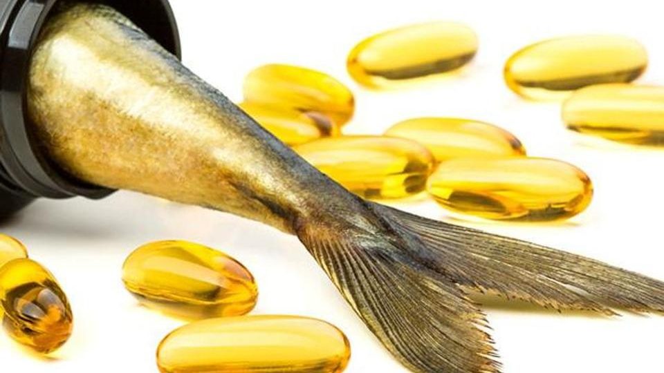 Immunosuppressive effects of fish oil and flaxseed oil 鱼油与亚麻籽油的免疫抑制作用