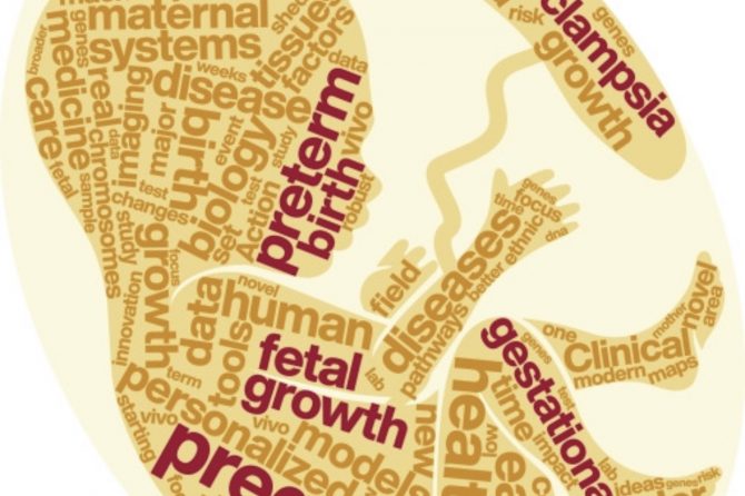 Eczema Allergy — A Question of Immune System Imbalance 湿疹、过敏：一个免疫均衡的问题