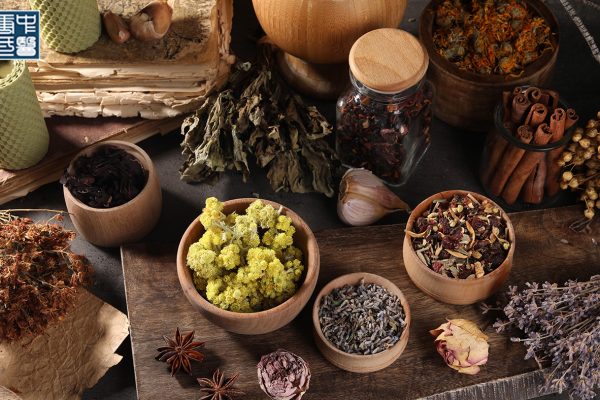 Understanding the Immune System in Traditional Chinese Medicine (TCM): How it Relates to Skin Health