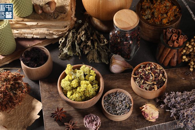 Understanding the Immune System in Traditional Chinese Medicine (TCM): How it Relates to Skin Health